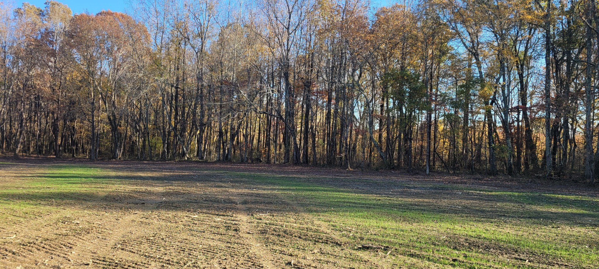 1 Summitville Road Morrison, TN 37357 - Photo 12 of 13 a view of outdoor space with trees