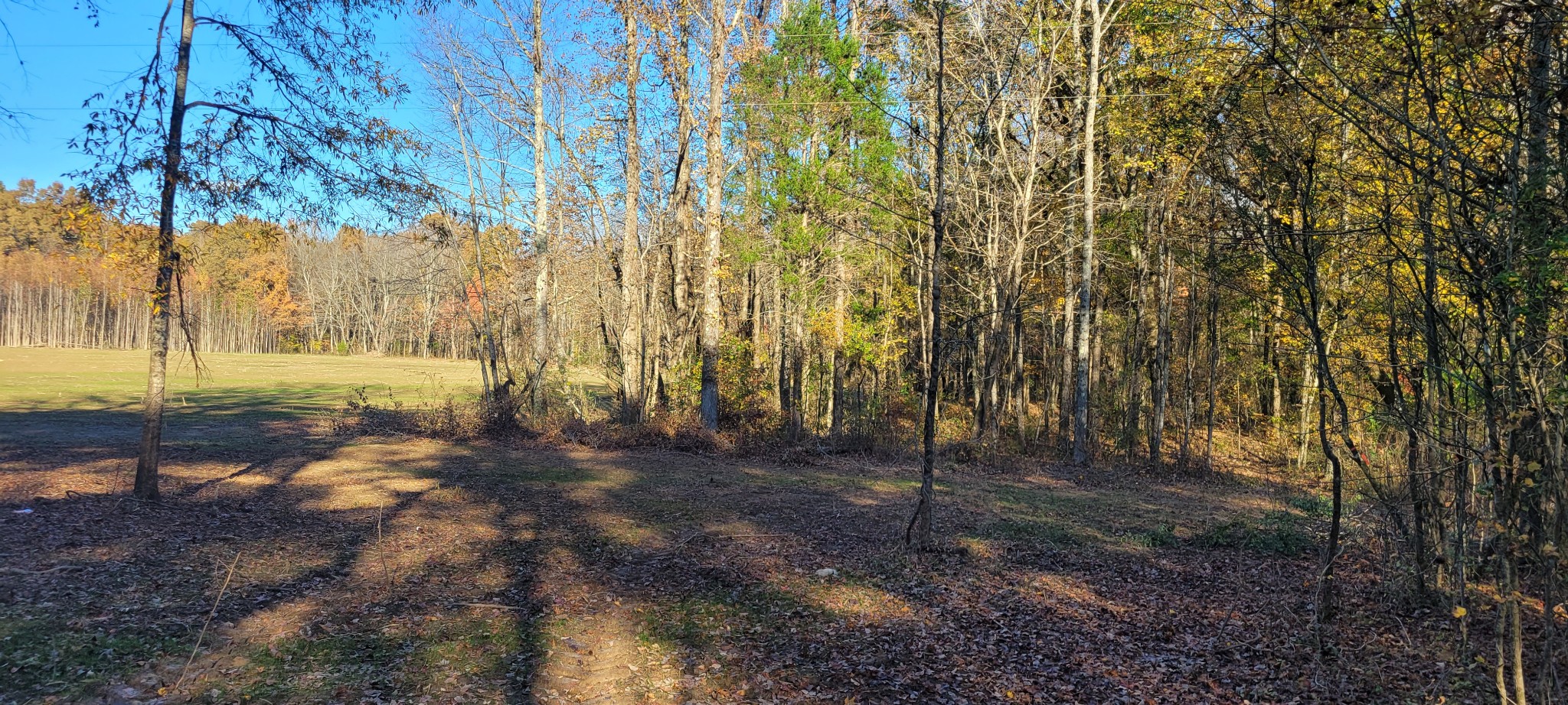 1 Summitville Road Morrison, TN 37357 - Photo 13 of 13 a view of backyard with green space