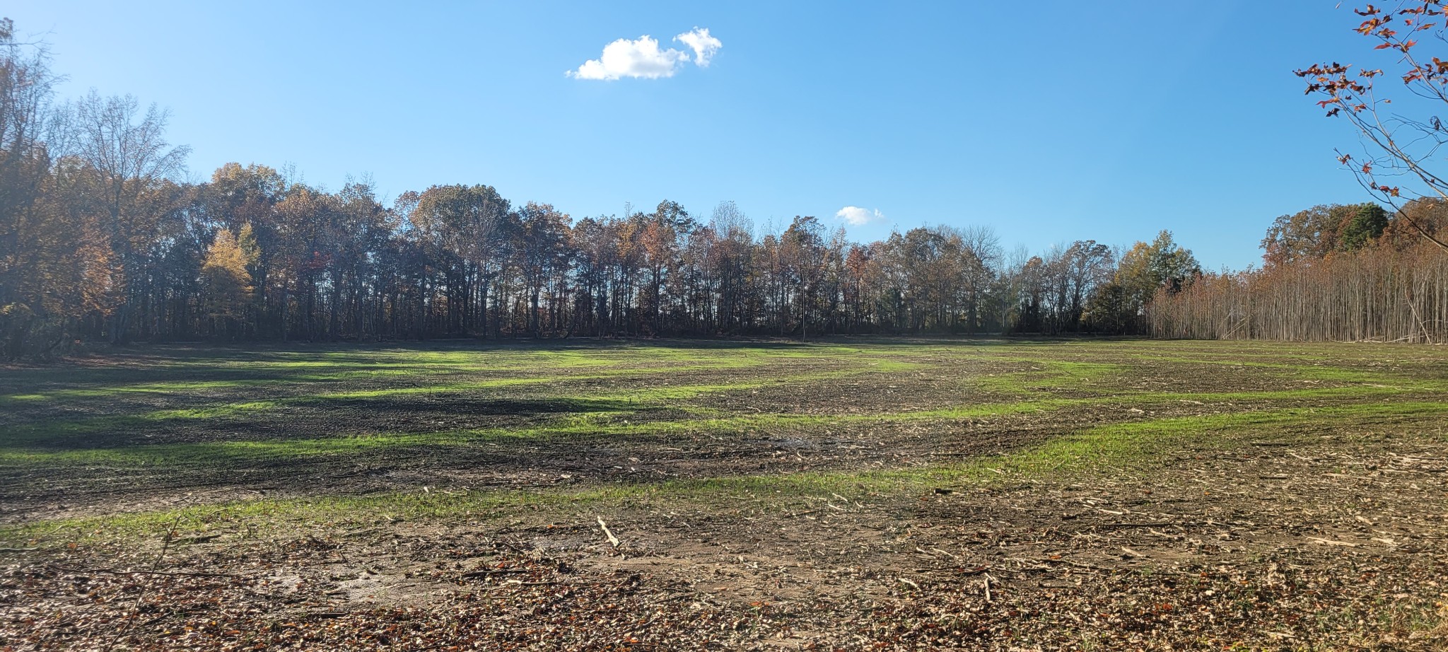 1 Summitville Road Morrison, TN 37357 - Photo 3 of 13 a view of a golf course with a lake