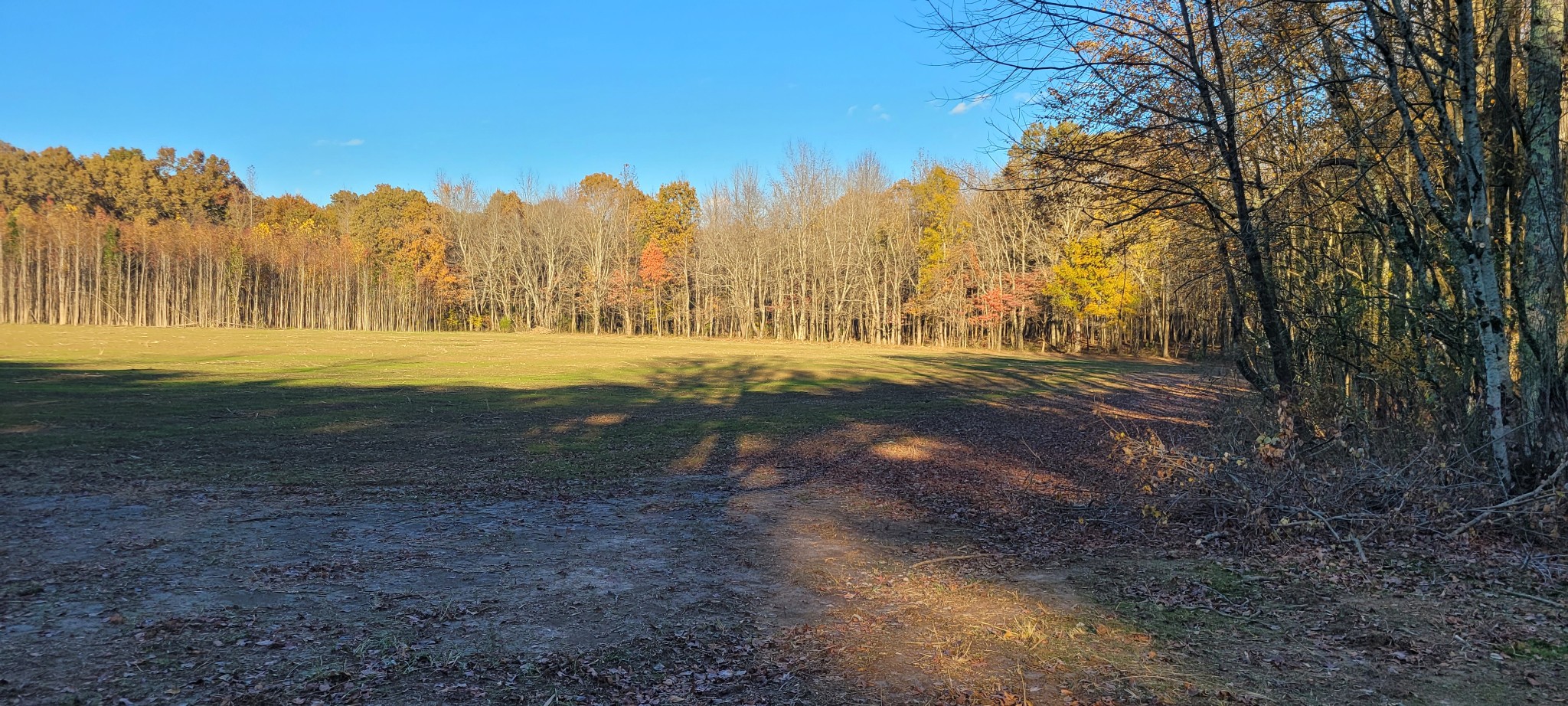 1 Summitville Road Morrison, TN 37357 - Photo 7 of 13 a view of dirt field with large trees