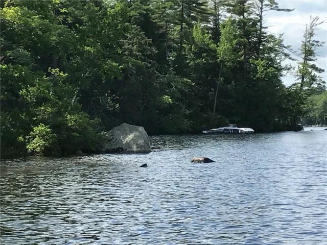 Lot 160-5 Zakelo Island Road Harrison, ME 04040 - Photo 2 of 5 2