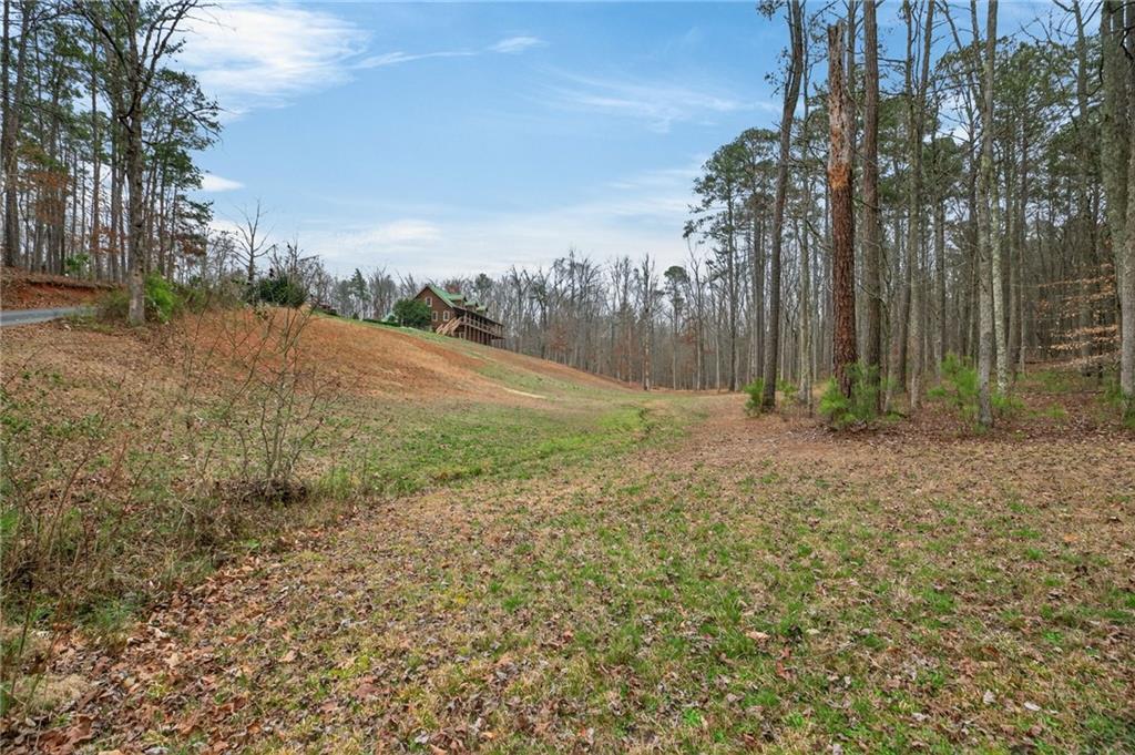 7346 Banks Mill Road Douglasville, GA 30135 - Photo 43 of 61