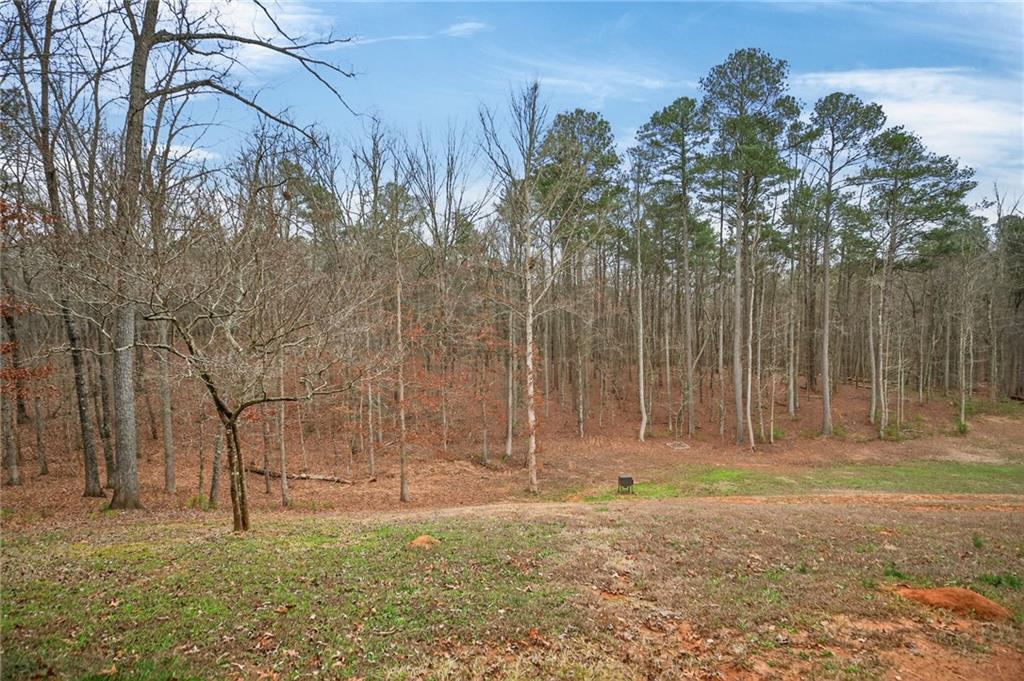 7346 Banks Mill Road Douglasville, GA 30135 - Photo 59 of 61