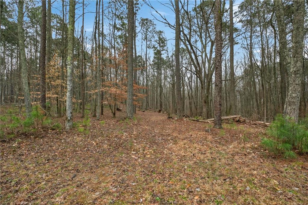 7346 Banks Mill Road Douglasville, GA 30135 - Photo 60 of 61