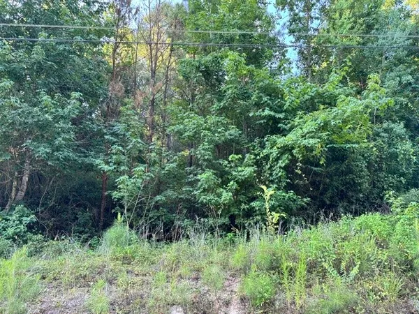 $20,000 | Tbd16 White Rock Acres Road, Trinity, TX 75862