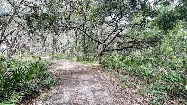 $2,395 | 13405 Lake Monroe Place, Riverview, FL 33579