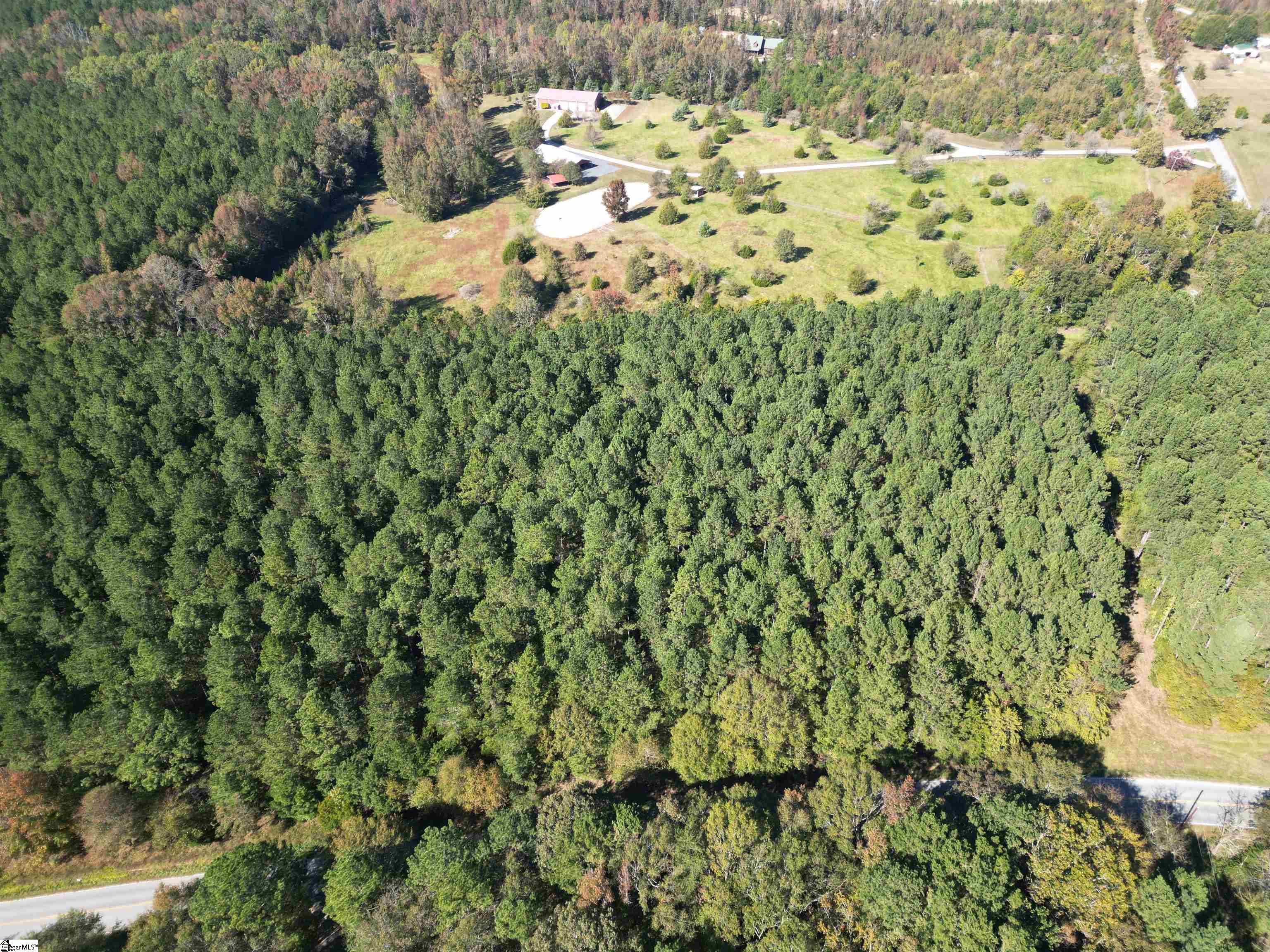 0 Metric Road Gray Court, SC 29645 - Photo 2 of 3