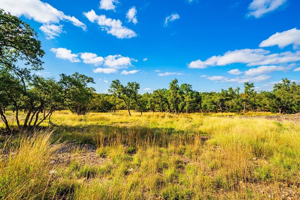 Lot 31 Reservation Road, Unit 31 Harper, TX 78631 - Photo 1 of 6 Main View