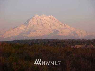 305 Pleasant Valley Road Mineral, WA 98355 - Photo 1 of 1 Gallery Image 1