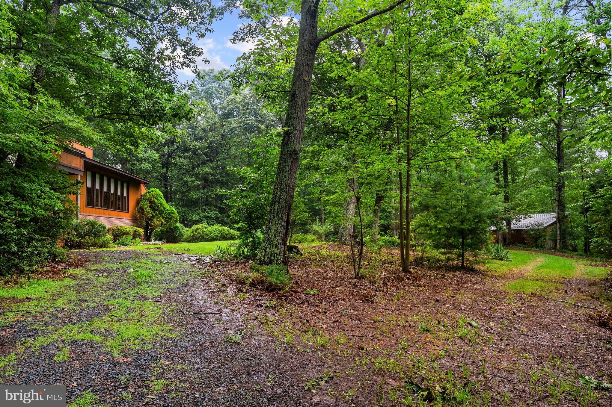 554 Arrington Mountain Road Haywood, VA 22722 - Photo 5 of 80