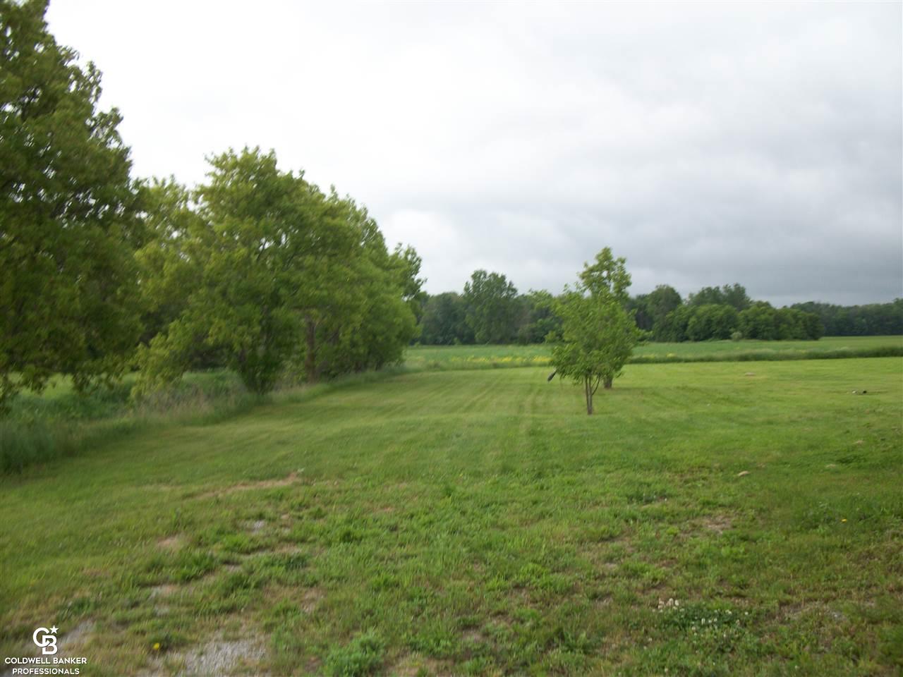 2290 West Harrington Road Croswell, MI 48422 - Photo 10 of 56 Back view