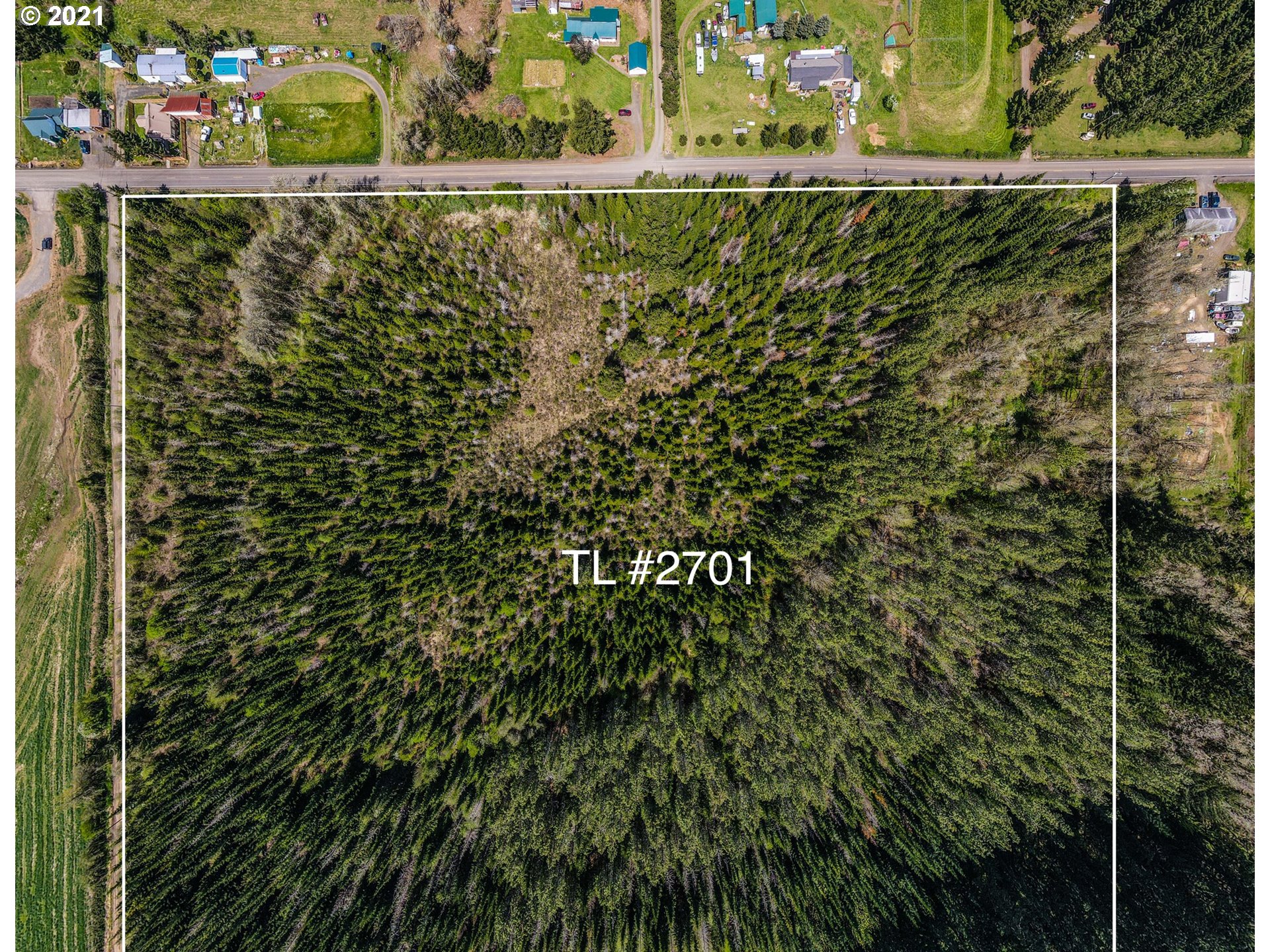 28150 Andy Riggs Road Grand Ronde, OR 97347 - Photo 9 of 13