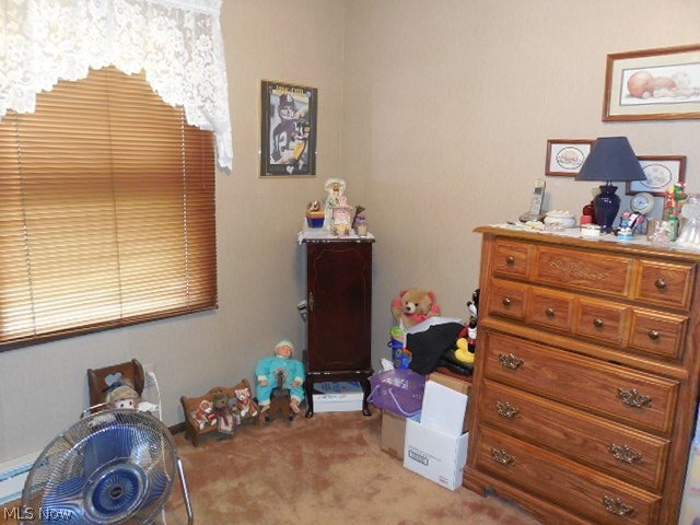 5196 Tippecanoe Road Canfield, OH 44406 - Photo 16 of 35 Gallery Image 16