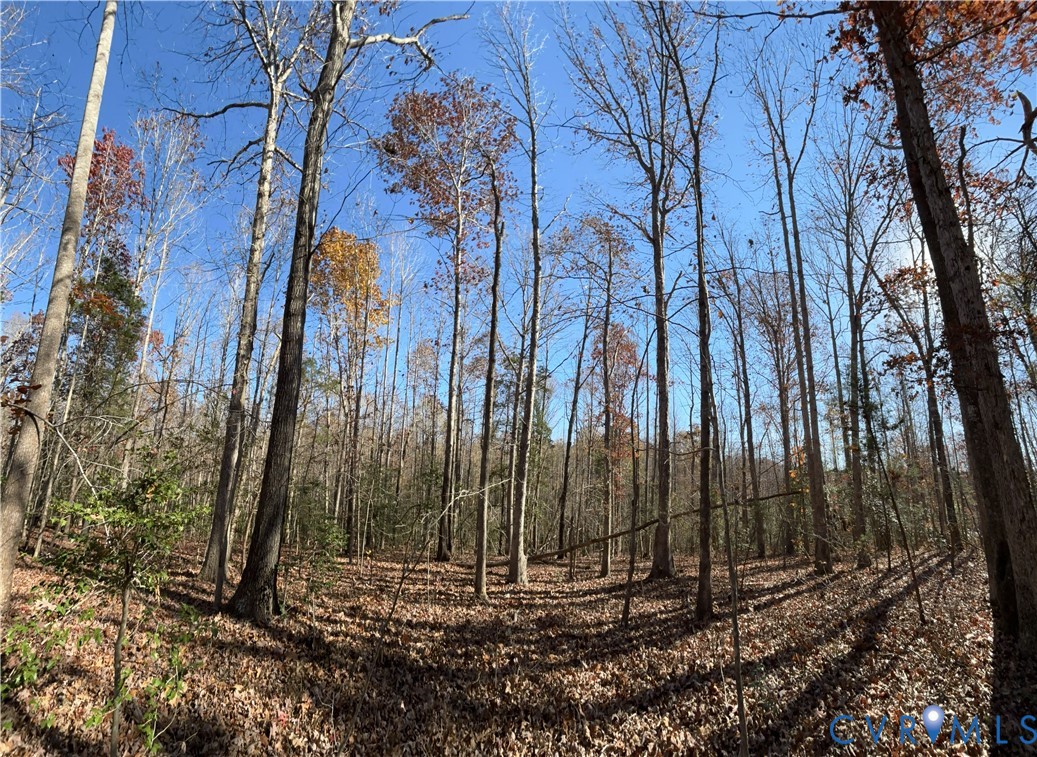 Lot 4 Diggstown Road Bumpass, VA 23024 - Photo 4 of 7 From potential homesite location