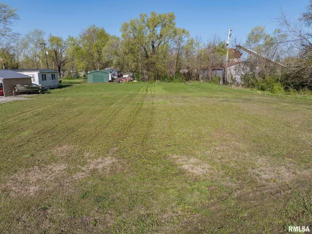 a view of a field with large trees