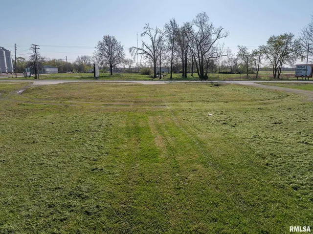 a large yard with lots of green space and trees