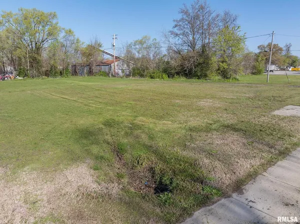 a big yard with lots of green space