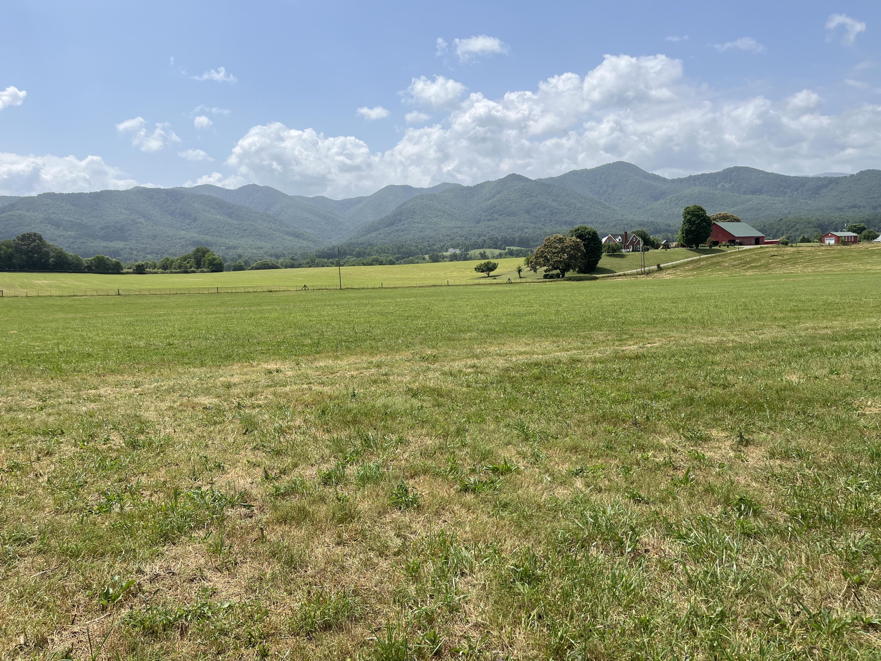 Tbd Ray Peterson Road, Unit 4 Limestone, TN 37681 - Photo 3 of 5 image
