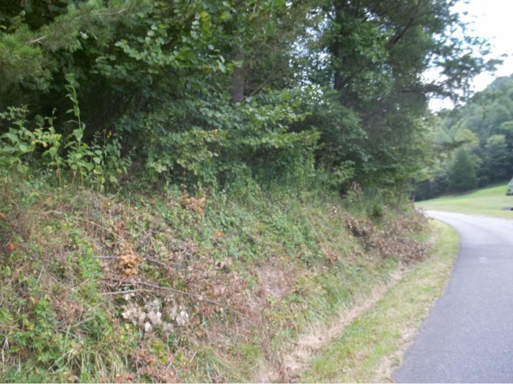 54 Carters Valley Road Kingsport, TN 37660 - Photo 3 of 13 Photo 3