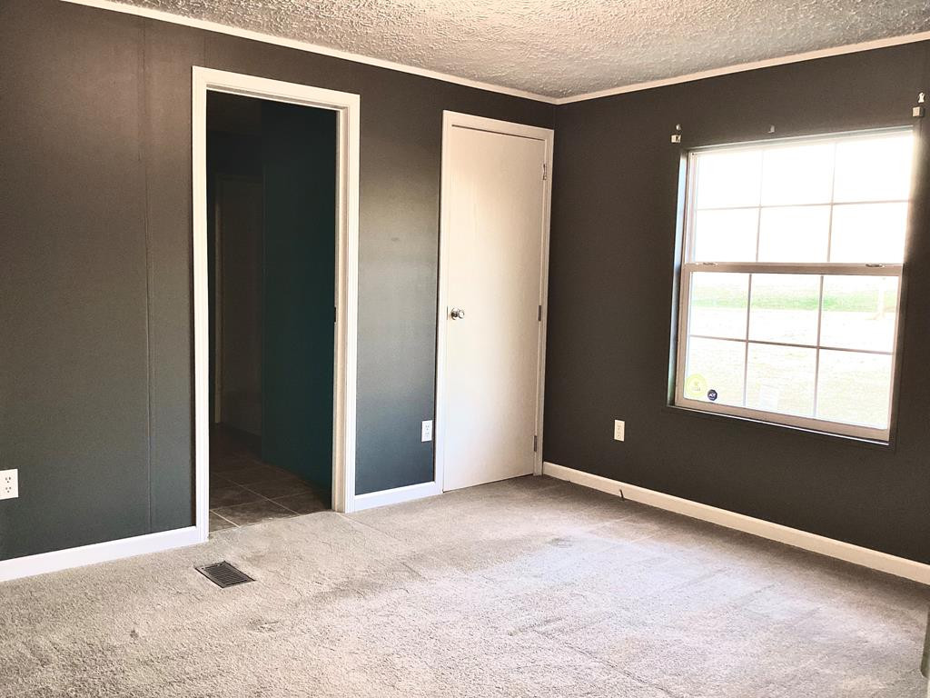 172 Ferndale Road Cope, SC 29038 - Photo 6 of 12 Photo 6