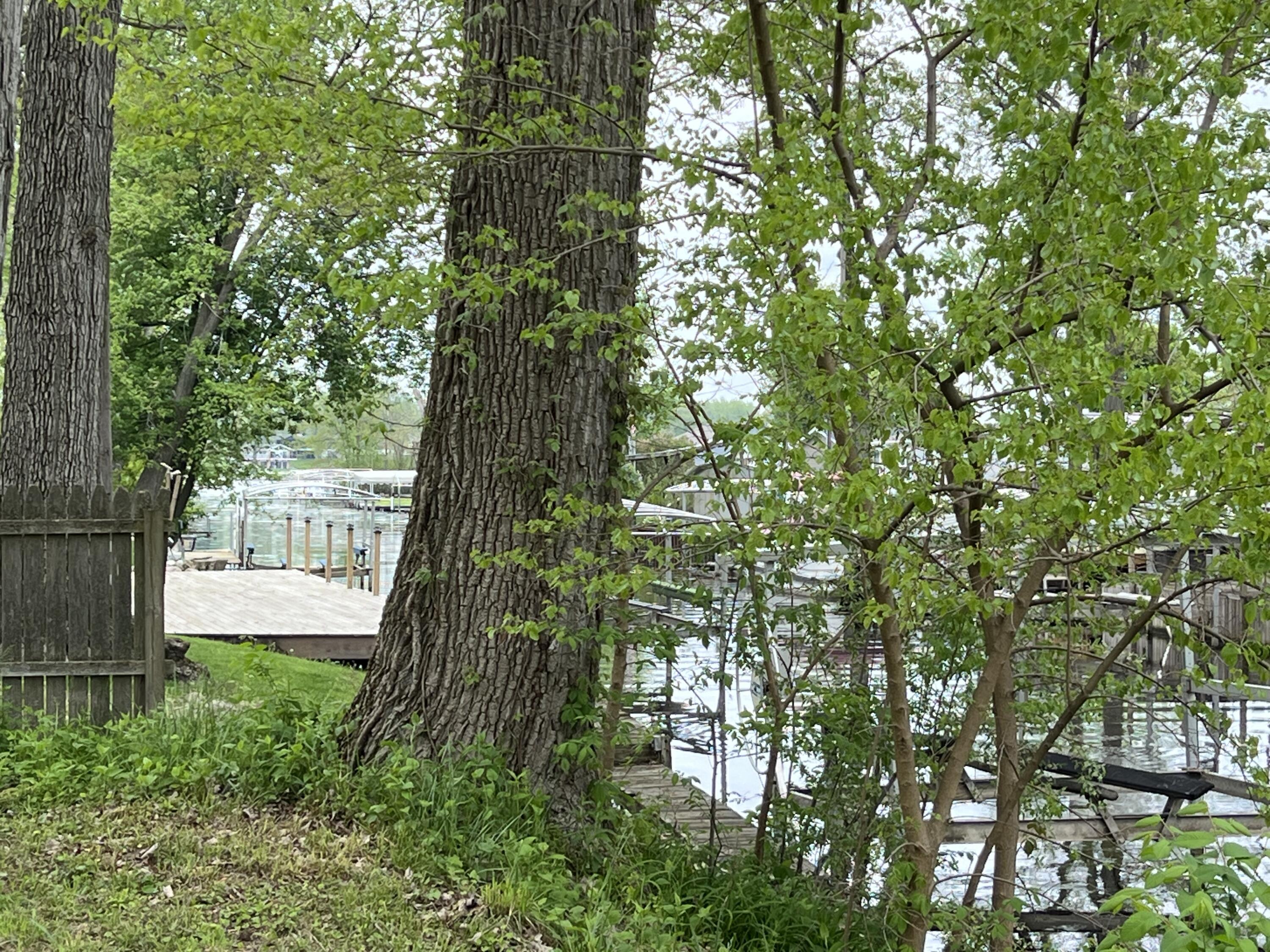 291 Winhoven Road Coldwater, MI 49036 - Photo 14 of 15 IMG_7729