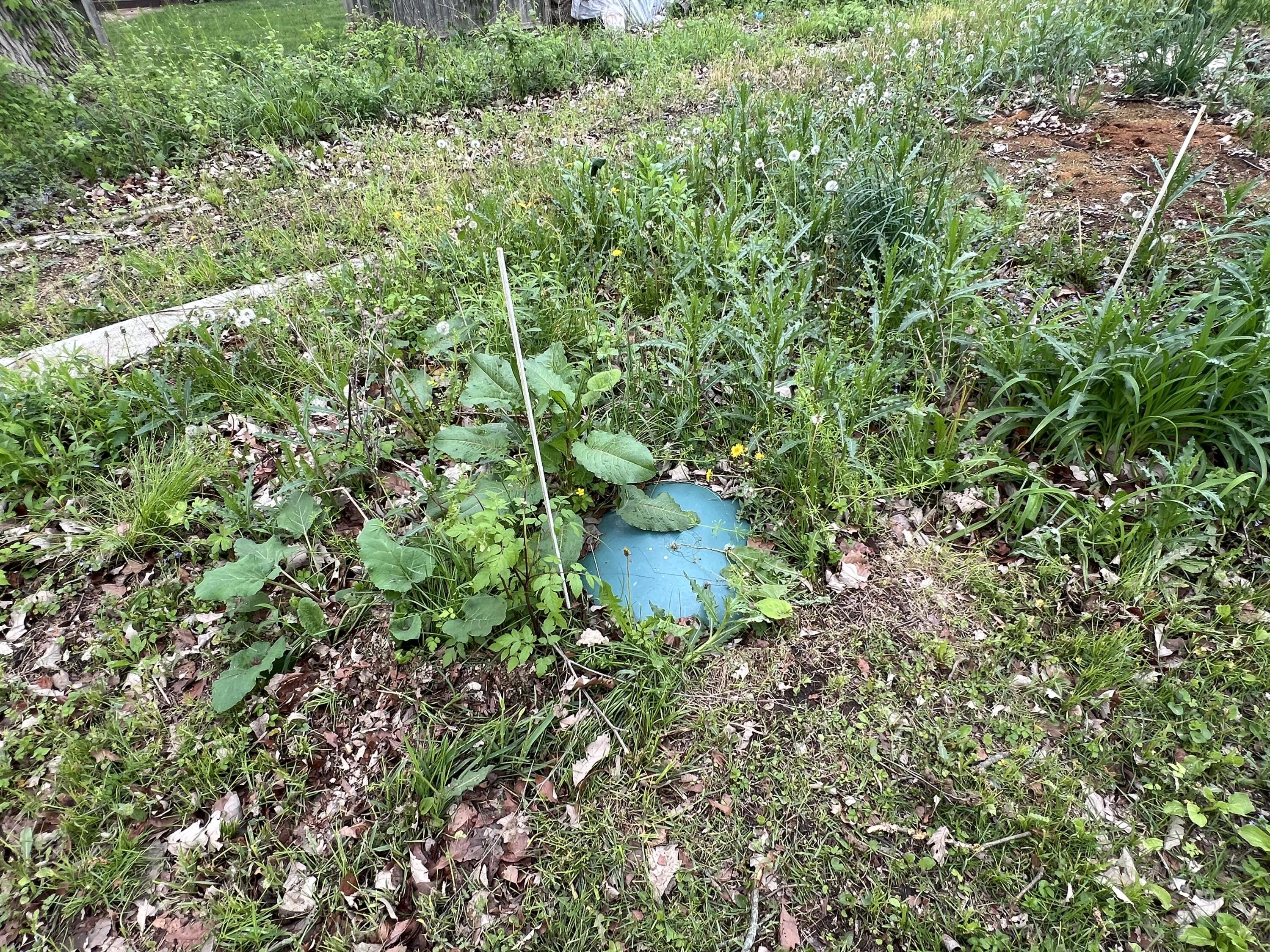 291 Winhoven Road Coldwater, MI 49036 - Photo 15 of 15 IMG_7736