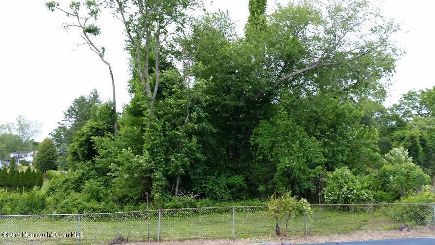 51 Hidden Stream Road Freehold, NJ 07728 - Photo 13 of 21 a view of a park