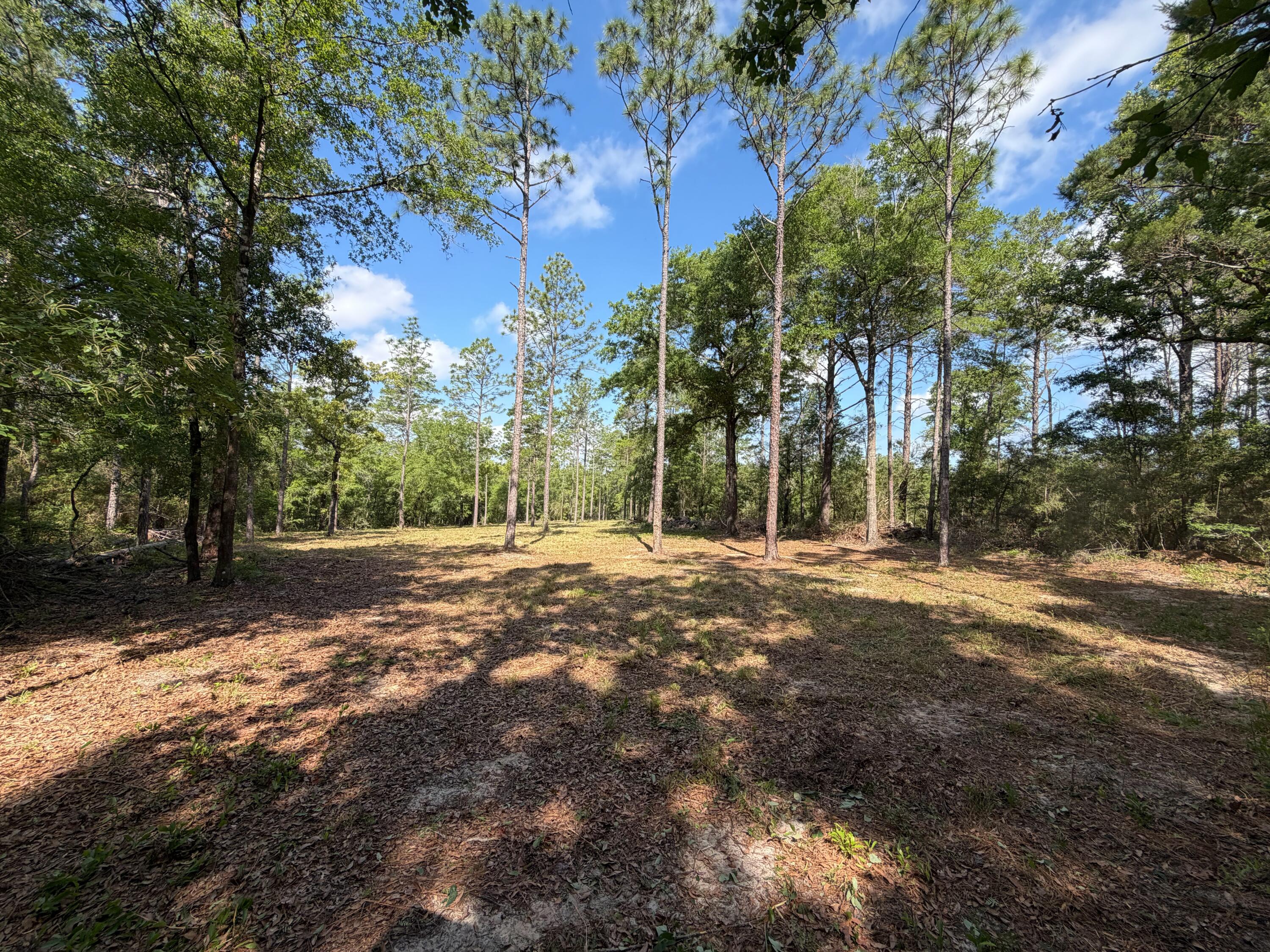0 Laird Road Crestview, FL 32539 - Photo 19 of 59 IMG_0668