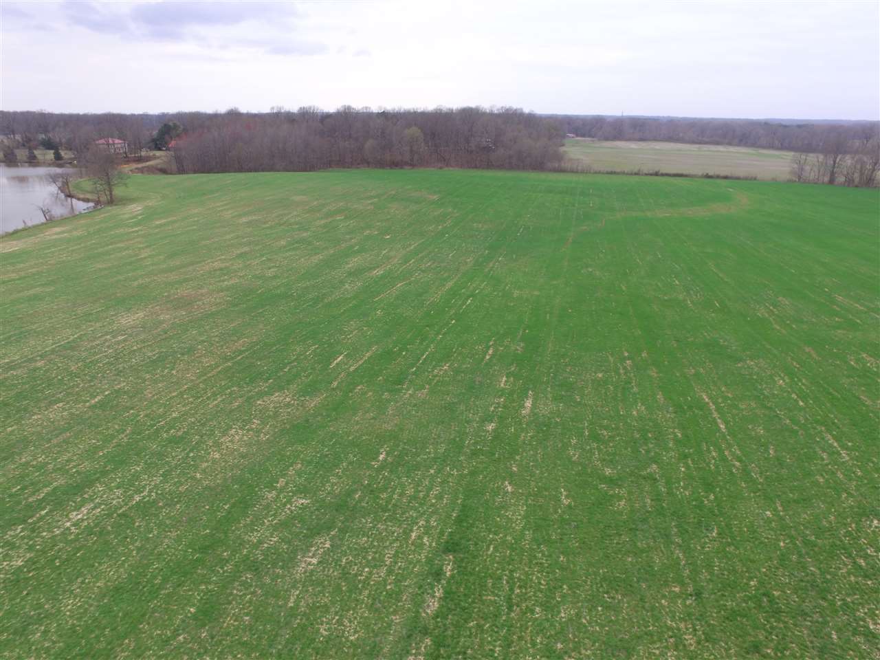 0 Ward Road Millington, TN 38053 - Photo 2 of 15 Gallery Image 2