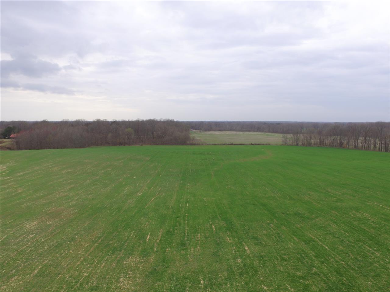 0 Ward Road Millington, TN 38053 - Photo 11 of 15 Gallery Image 11