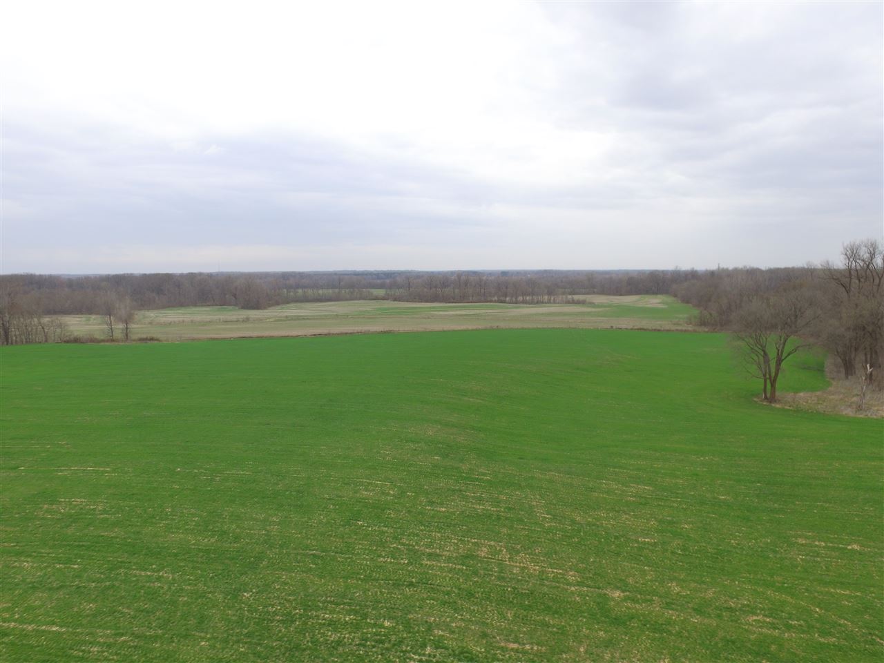 0 Ward Road Millington, TN 38053 - Photo 12 of 15 Gallery Image 12