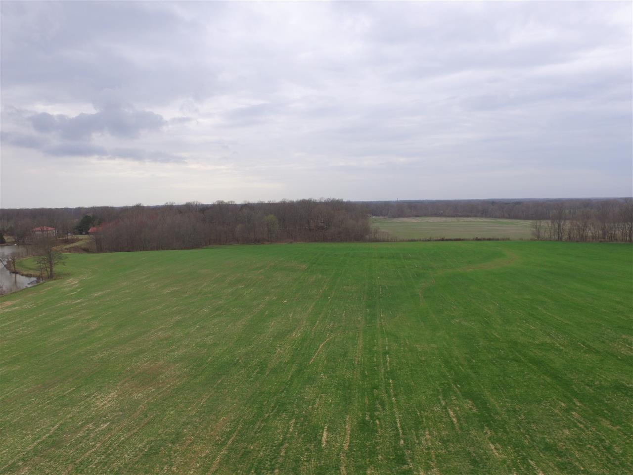 0 Ward Road Millington, TN 38053 - Photo 13 of 15 Gallery Image 13