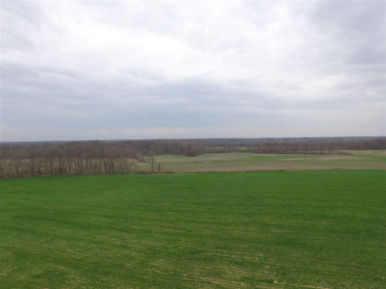0 Ward Road Millington, TN 38053 - Photo 14 of 15 Gallery Image 14
