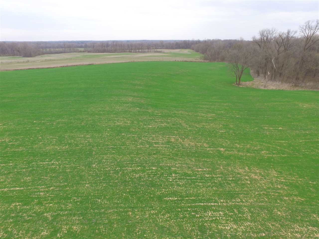0 Ward Road Millington, TN 38053 - Photo 3 of 15 Gallery Image 3