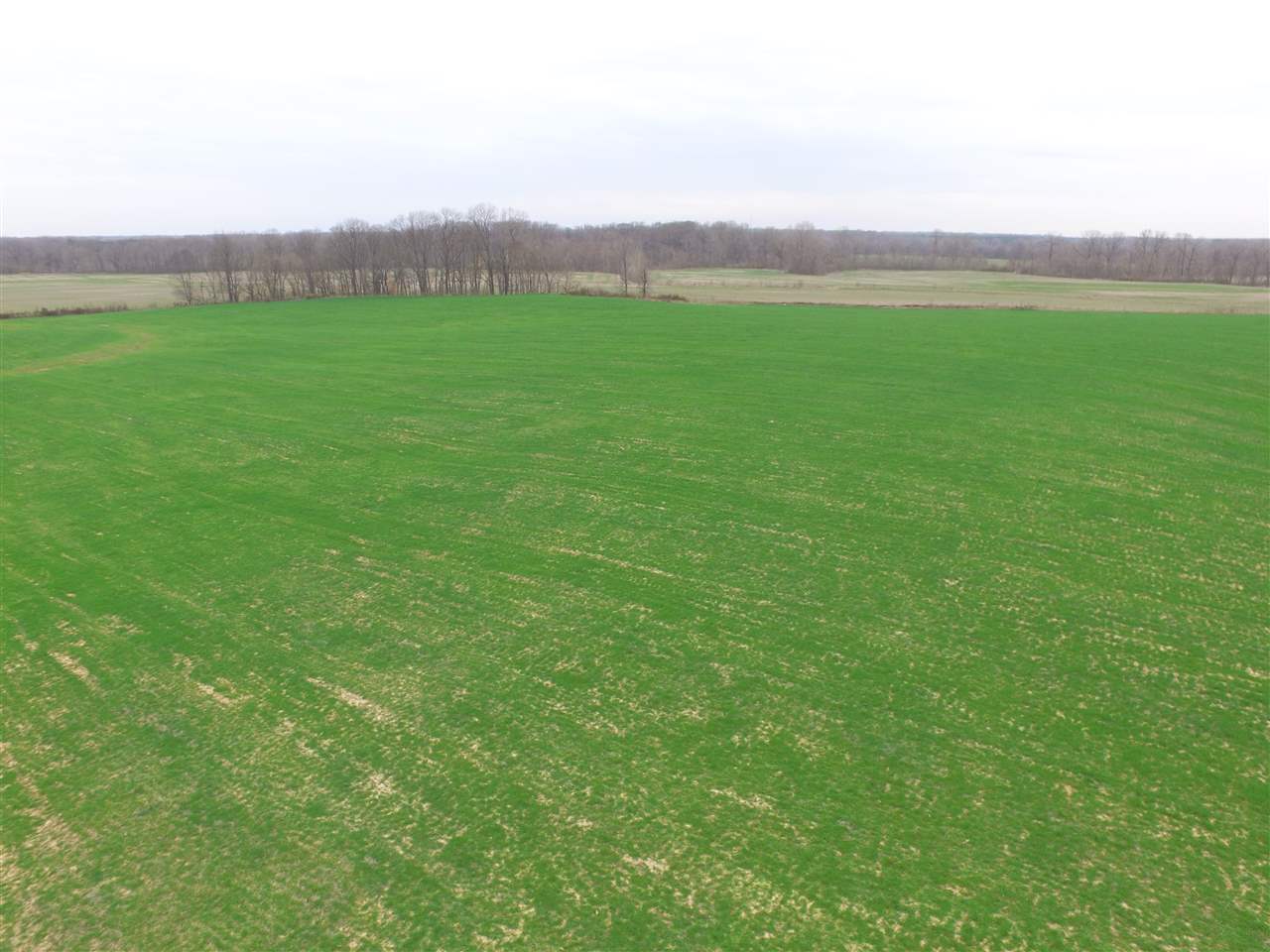 0 Ward Road Millington, TN 38053 - Photo 4 of 15 Gallery Image 4