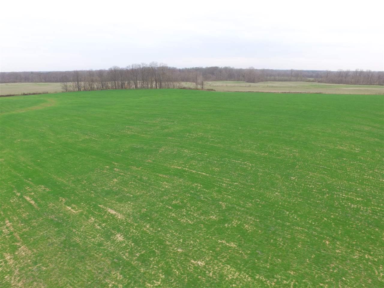 0 Ward Road Millington, TN 38053 - Photo 5 of 15 Gallery Image 5