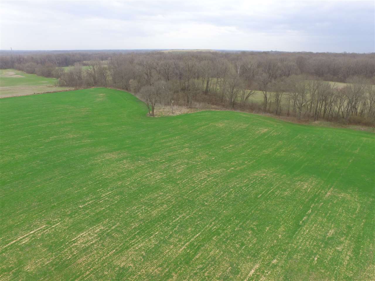 0 Ward Road Millington, TN 38053 - Photo 7 of 15 Gallery Image 7