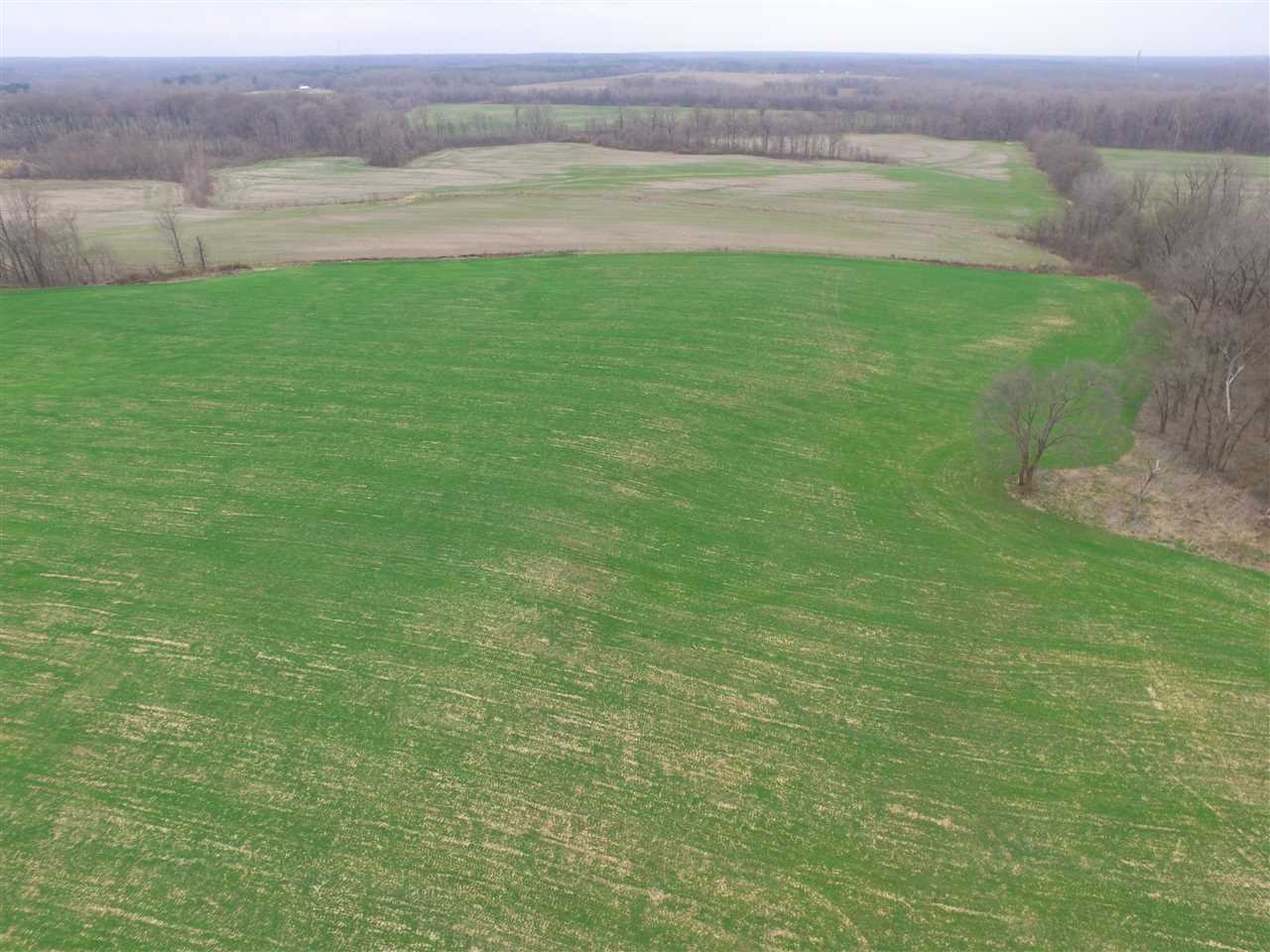 0 Ward Road Millington, TN 38053 - Photo 8 of 15 Gallery Image 8