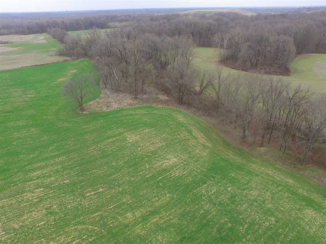 0 Ward Road Millington, TN 38053 - Photo 9 of 15 Gallery Image 9