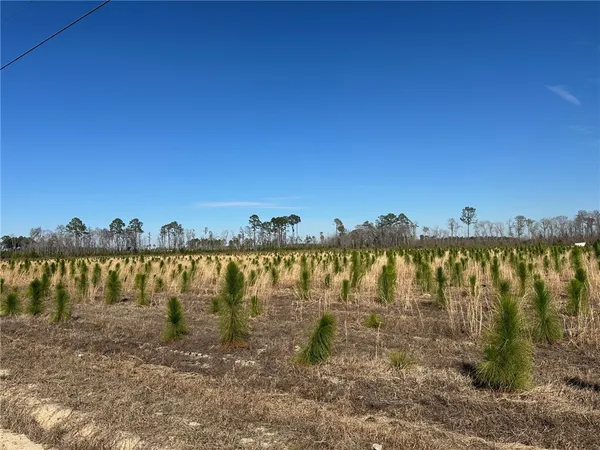 $38,710 | 19 Sellers Road Northwest, Baxley, GA 31513