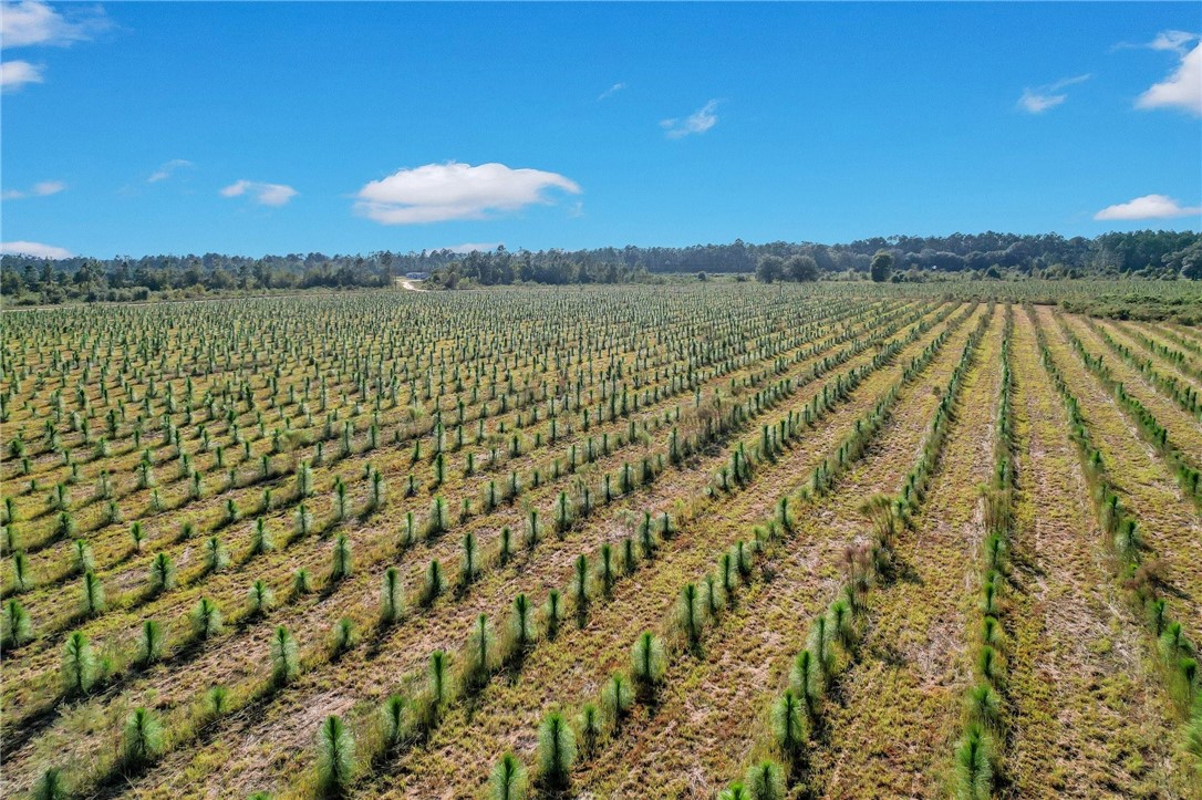 19 Sellers Road Northwest Baxley, GA 31513 - Photo 7 of 8
