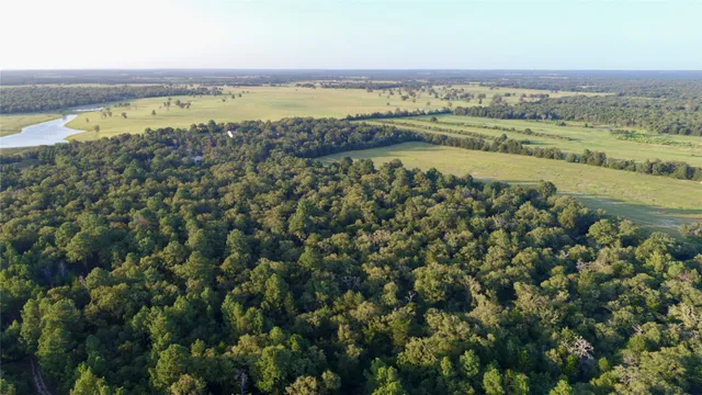 a view of a lake with a city