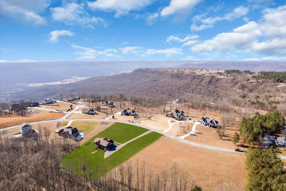 636 Raulston Falls Drive Jasper, TN 37347 - Photo 79 of 84 54-DJI_0216