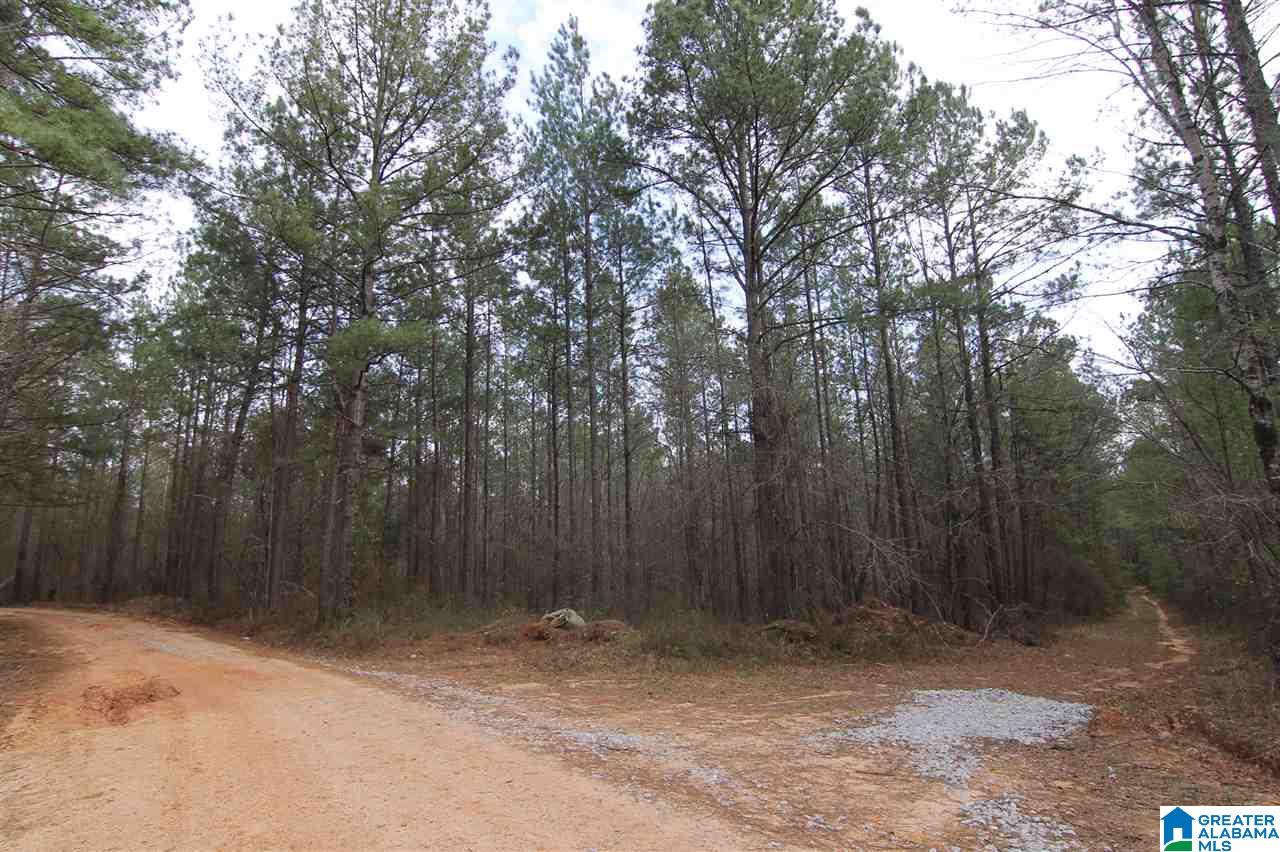 500 Lil Beaver Road, Unit 260 AC Daviston, AL 36256 - Photo 6 of 20