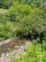 39 Sherman Hill Road Sidney Center, NY 13839 - Photo 4 of 8