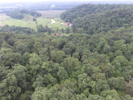 0 Tumbling Creek Road Waverly, TN 37185 - Photo 4 of 14 Gallery Image 4