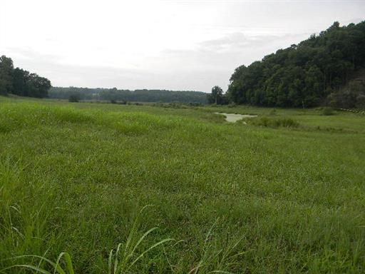 0 Tumbling Creek Road Waverly, TN 37185 - Photo 6 of 14 Gallery Image 6