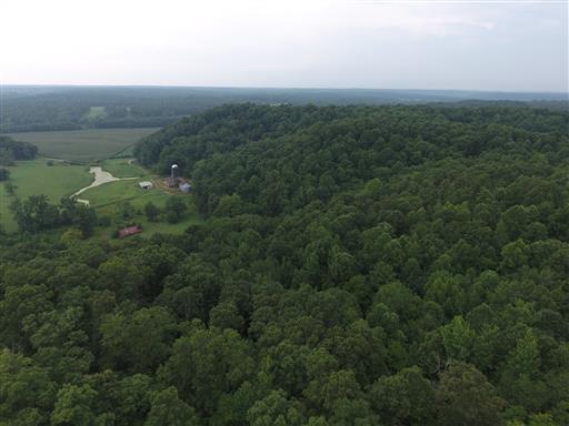0 Tumbling Creek Road Waverly, TN 37185 - Photo 7 of 14 Gallery Image 7
