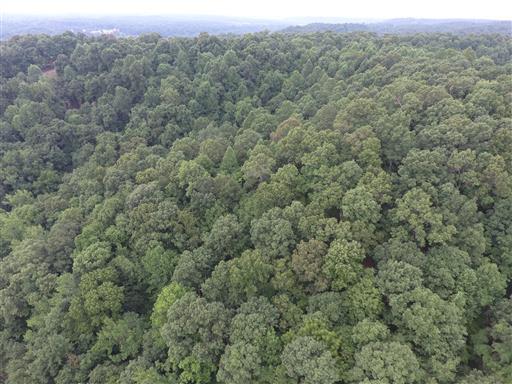 0 Tumbling Creek Road Waverly, TN 37185 - Photo 8 of 14 Gallery Image 8