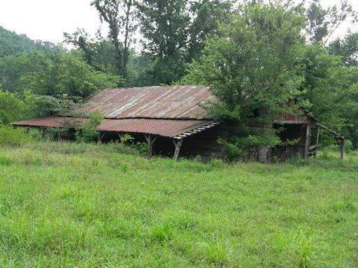 0 Tumbling Creek Road Waverly, TN 37185 - Photo 10 of 14 Gallery Image 10